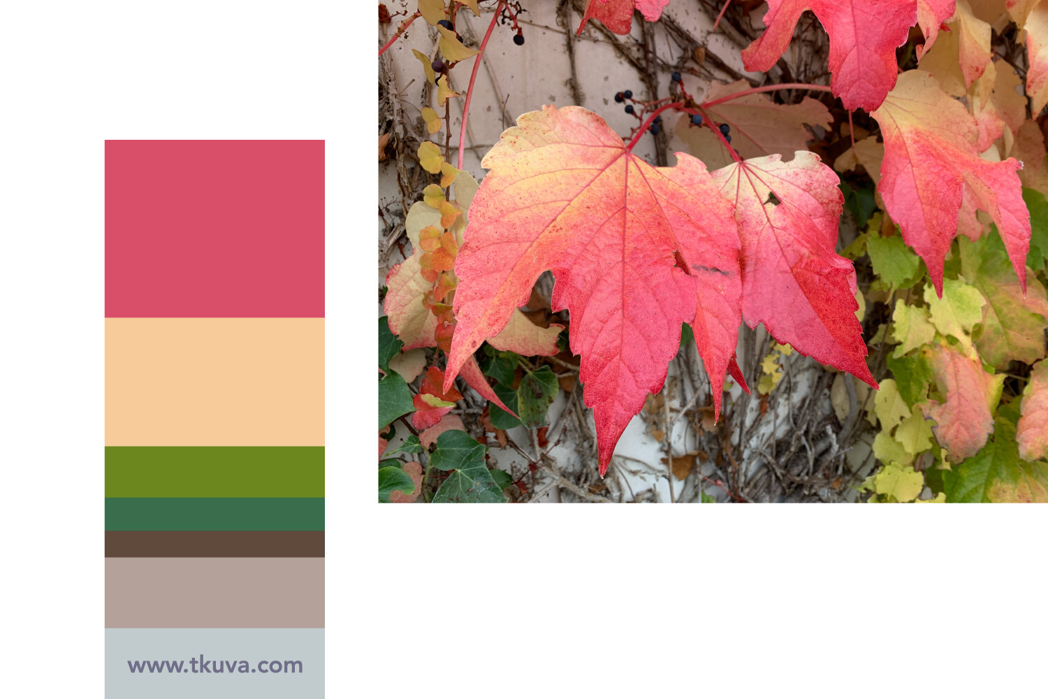 november-colour-schemes-2.jpg