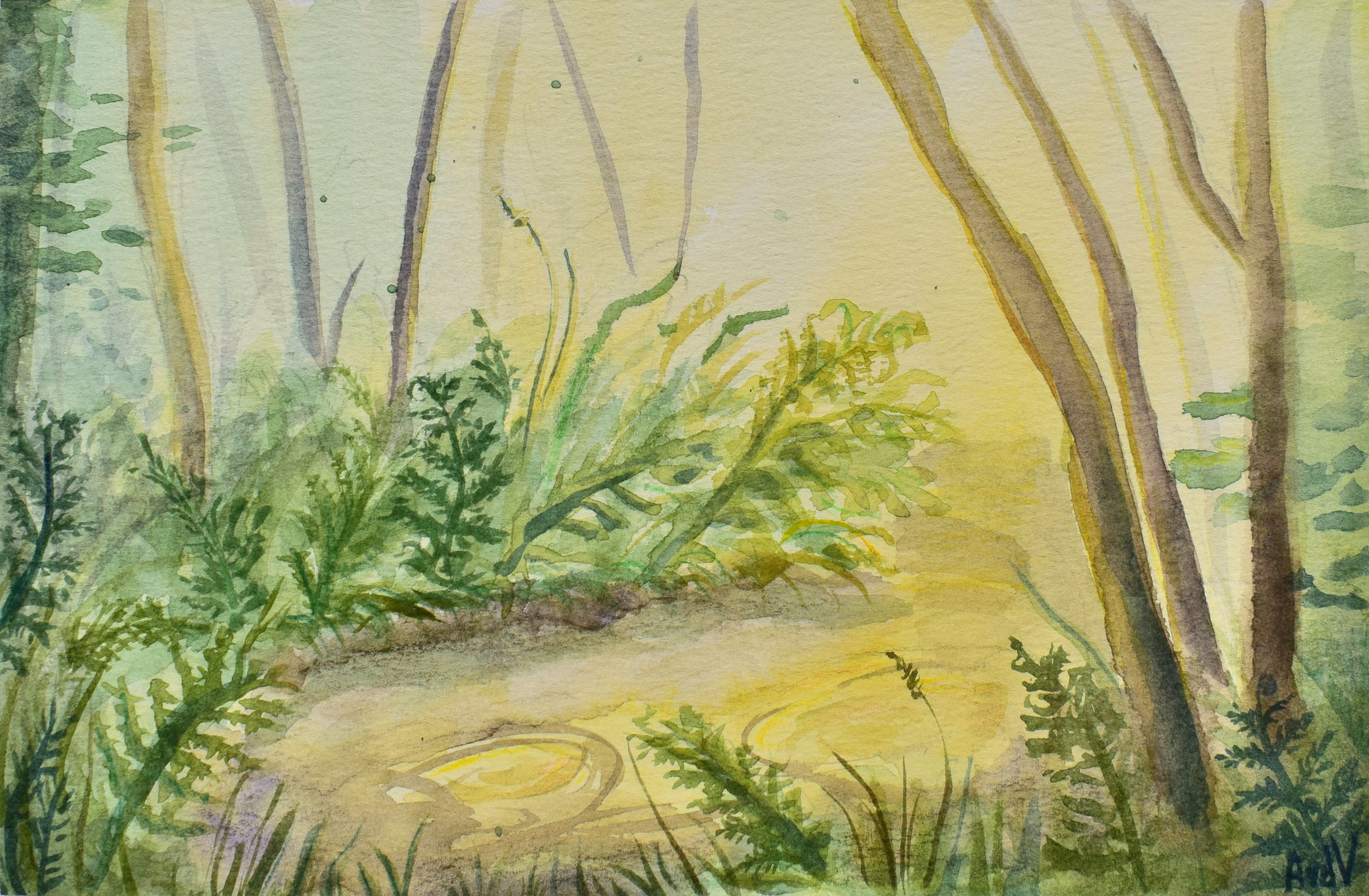 Sunlight forest RGB.jpg