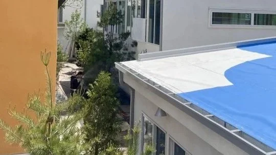 2605+Canopy+planting+-+crooked+path+from+above+w+roof+mural.jpg