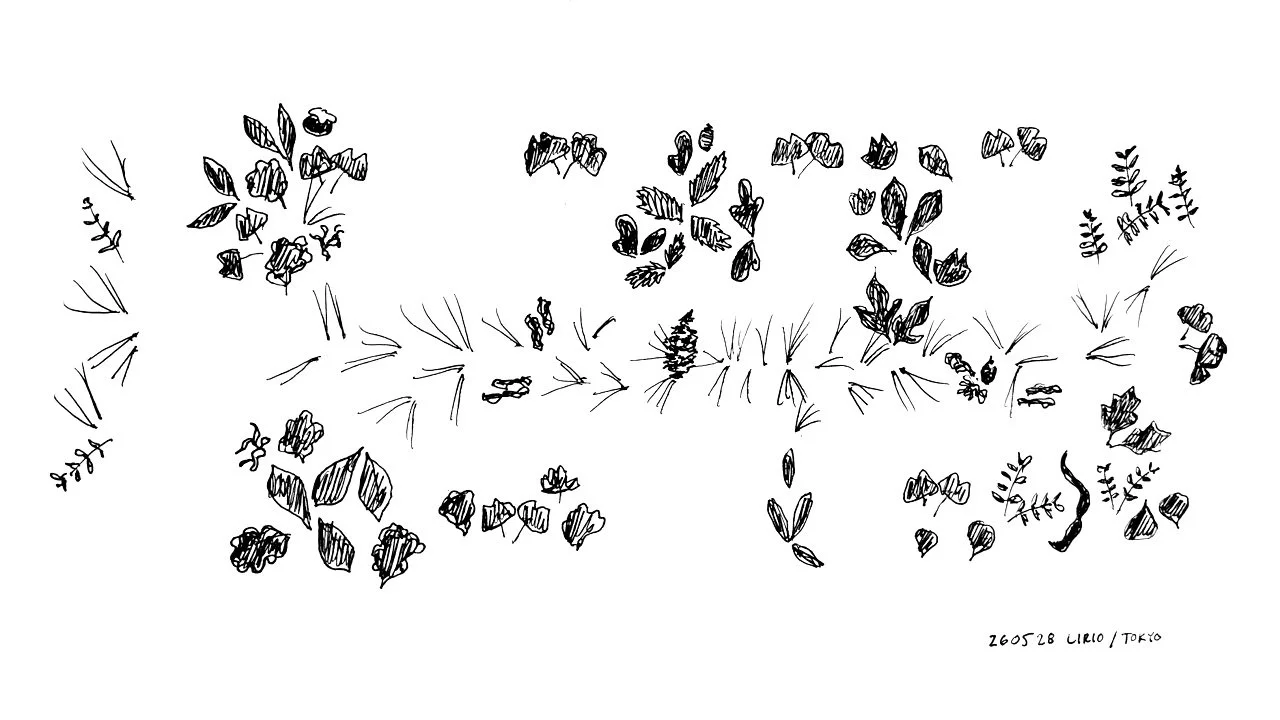 2605+Canopy+2+leaf+plan+sketch+RH.jpg