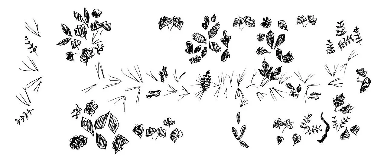 2605%2BCanopy%2B2%2Bleaf%2Bplan%2Bsketch%2BRH.jpg