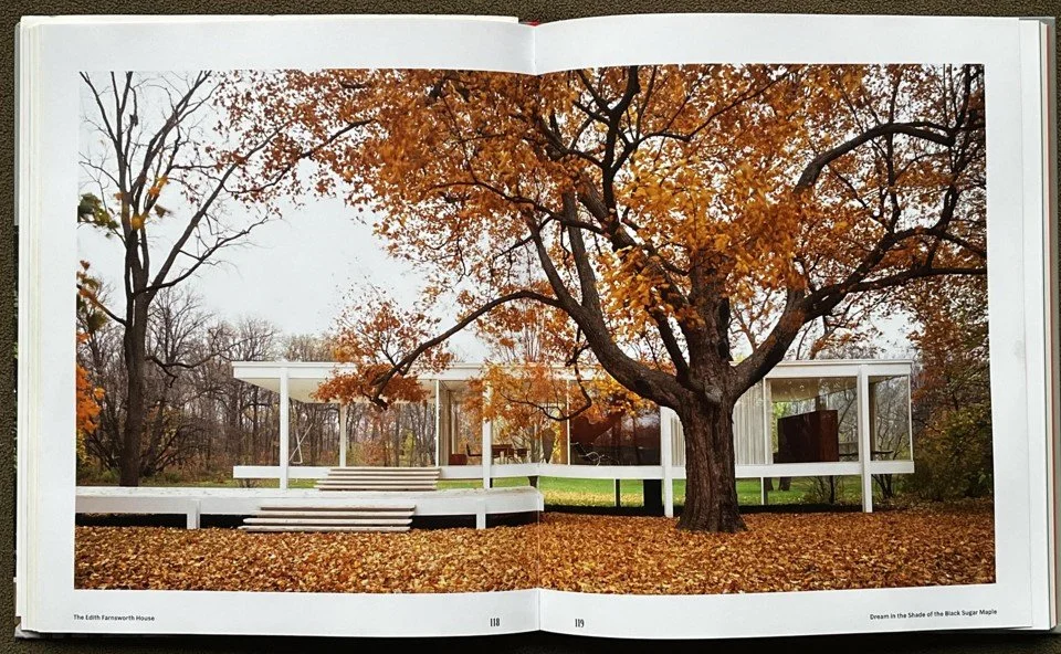 Edith Farnsworth House - Henderson, Black Sugar Maple - photo spread.jpg