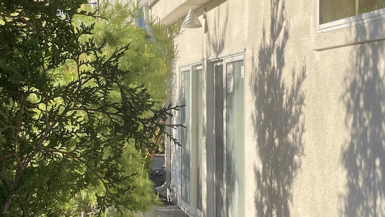2605 Canopy planting - arborvitae and pines w shadows.jpg