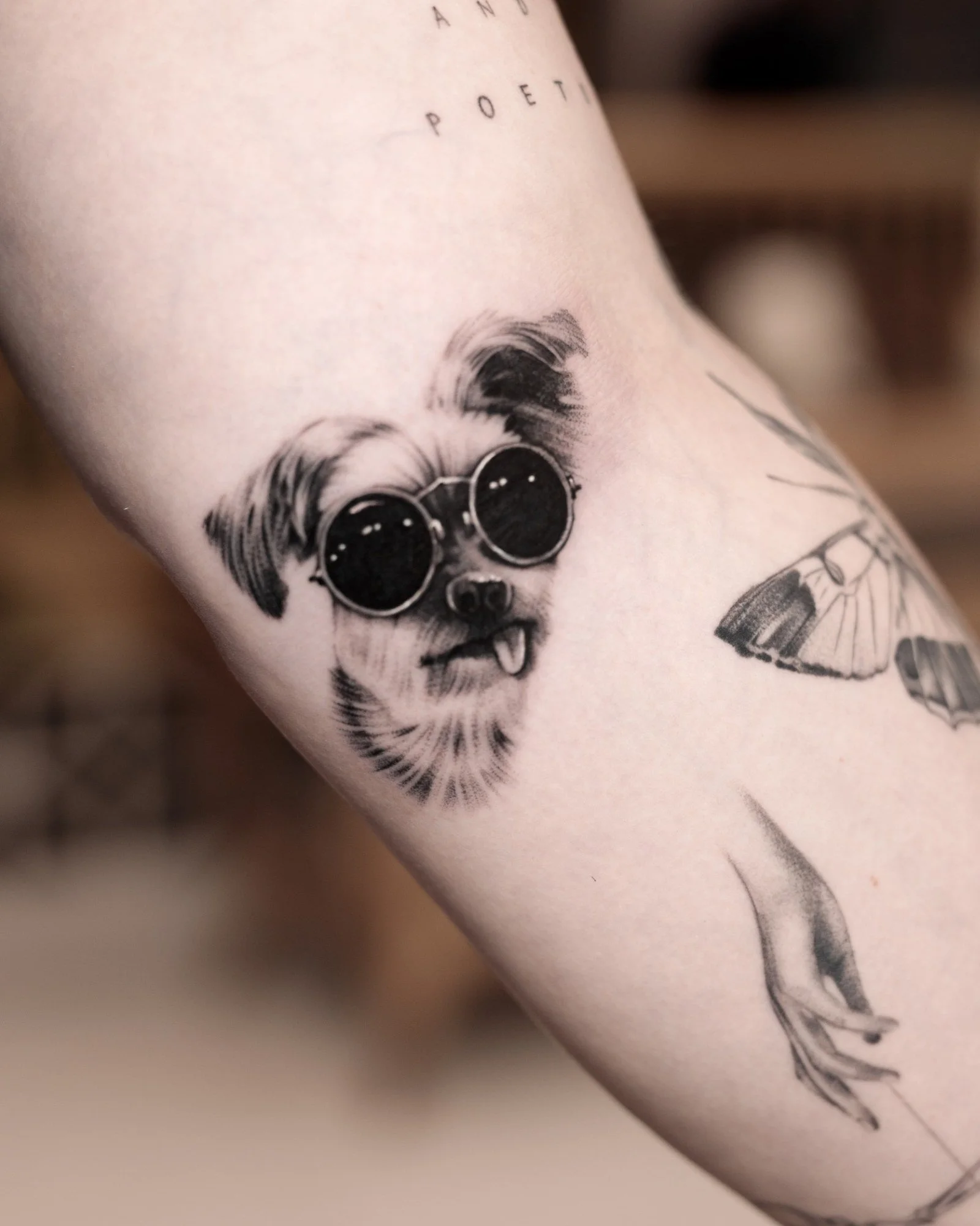pet-gallery-02.jpg