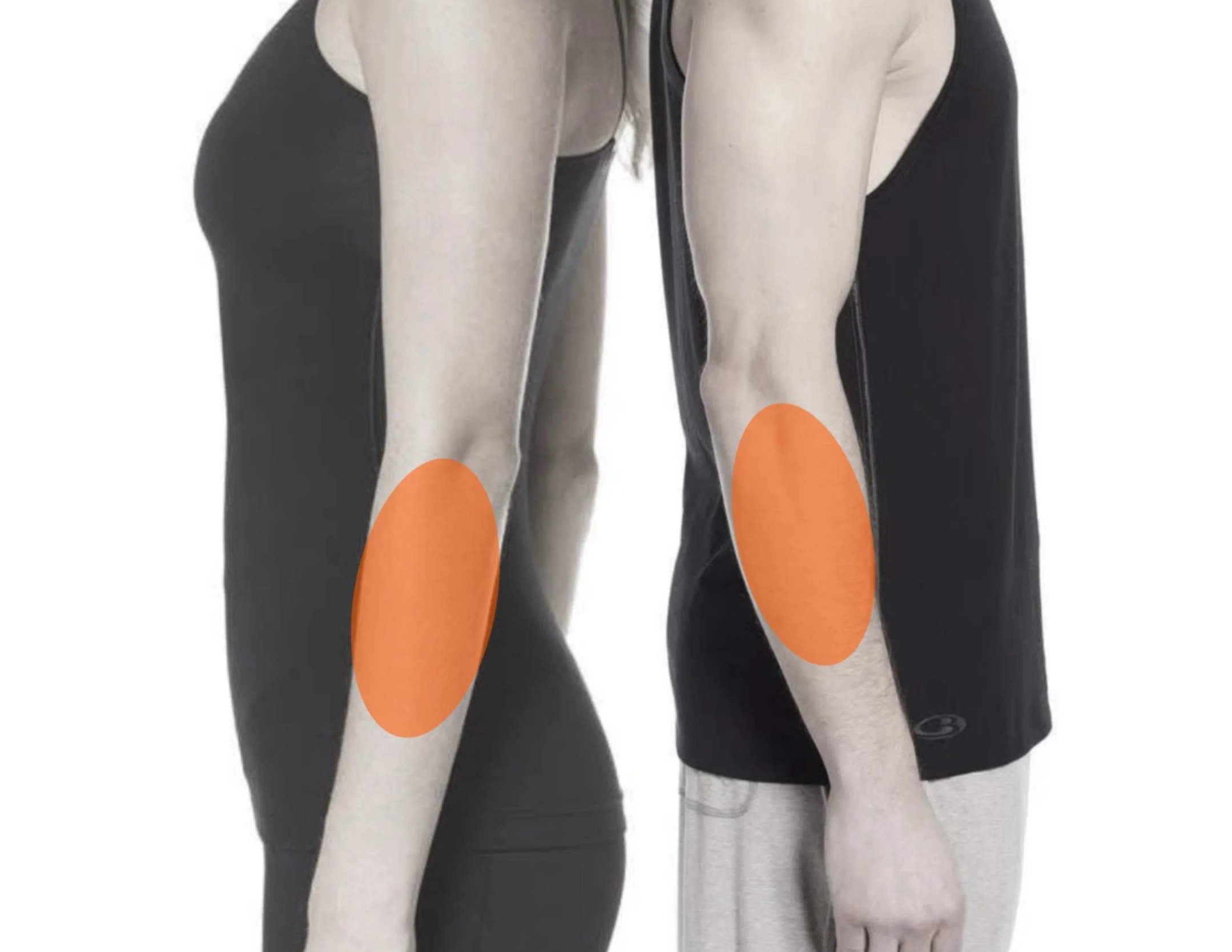 Arm diagram showing orange forearm areas representing approximate coverage for a pet portrait tattoo in a full-day session.