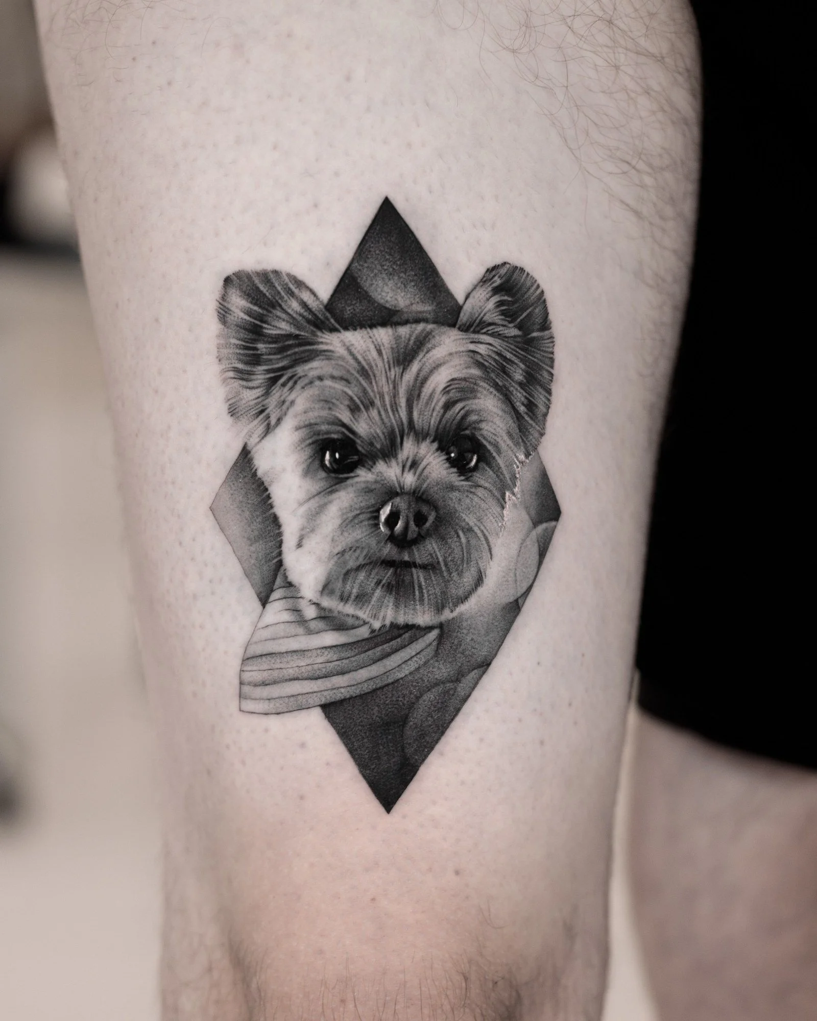 pet-gallery-03.jpg
