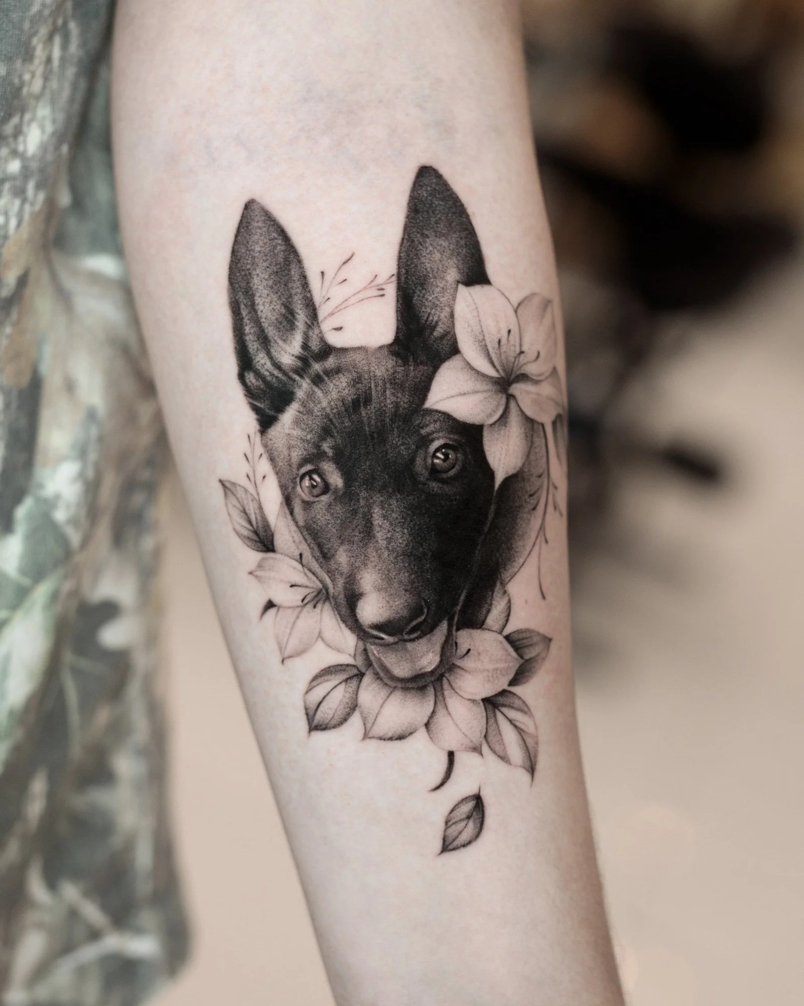 pet-gallery-01.jpg
