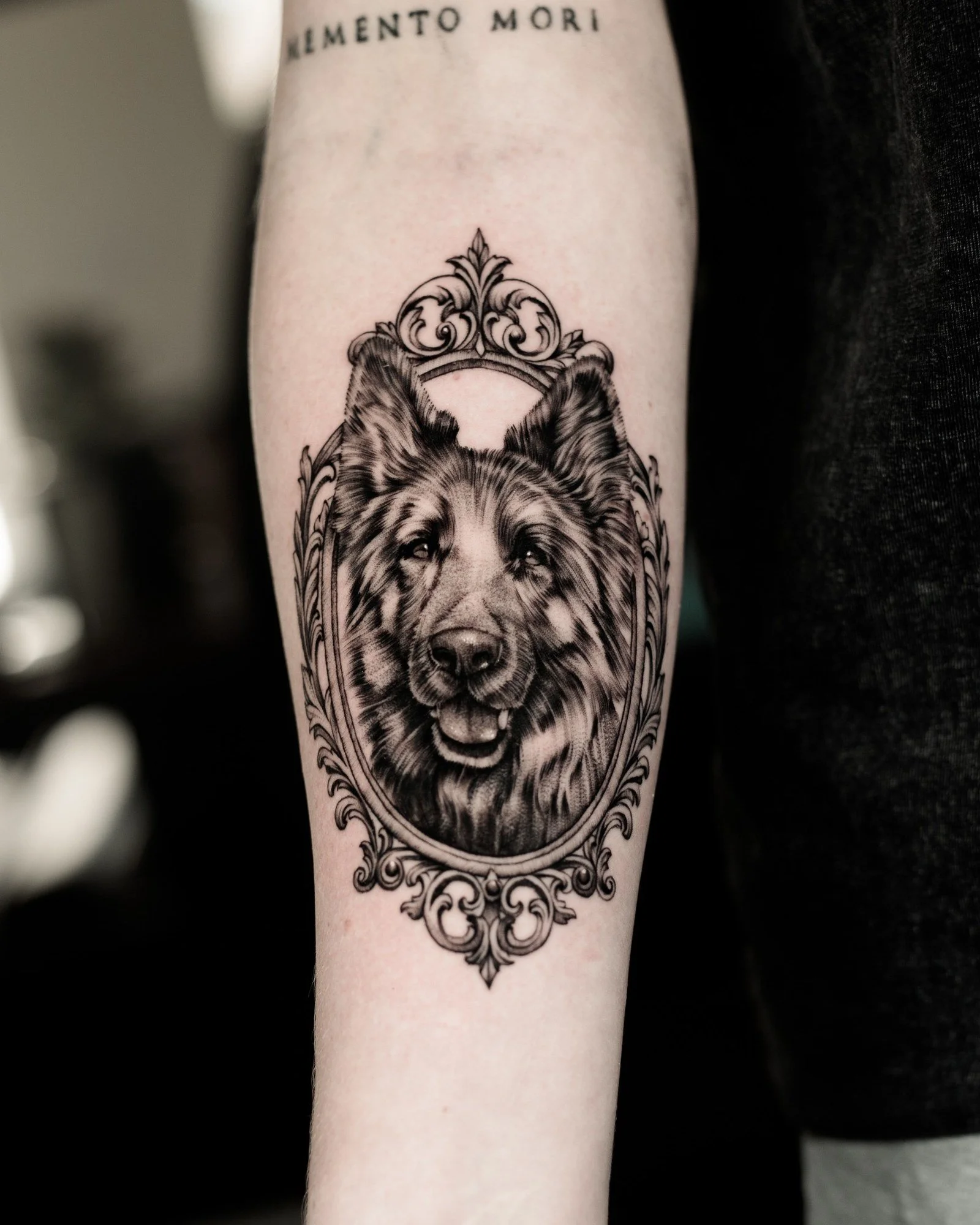 pet-portrait-gallery-08.jpg