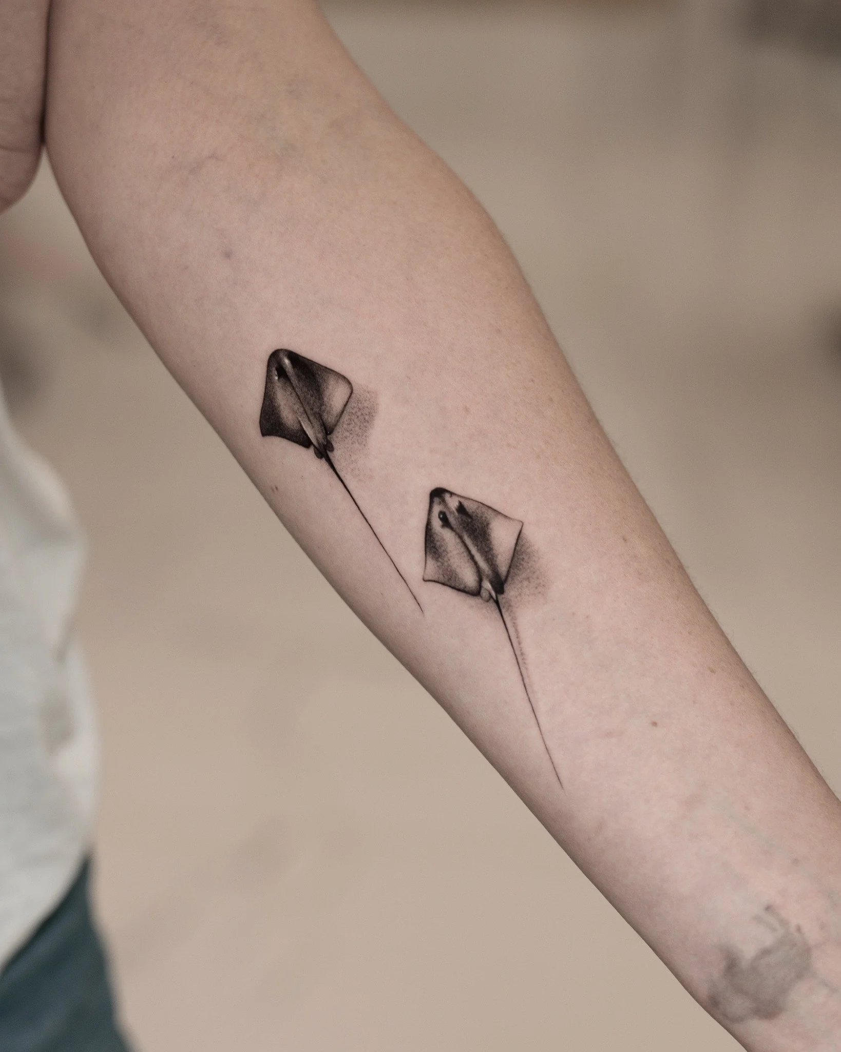 Black and grey forearm tattoo of two stingrays viewed from above, with long thin tails and soft shading.