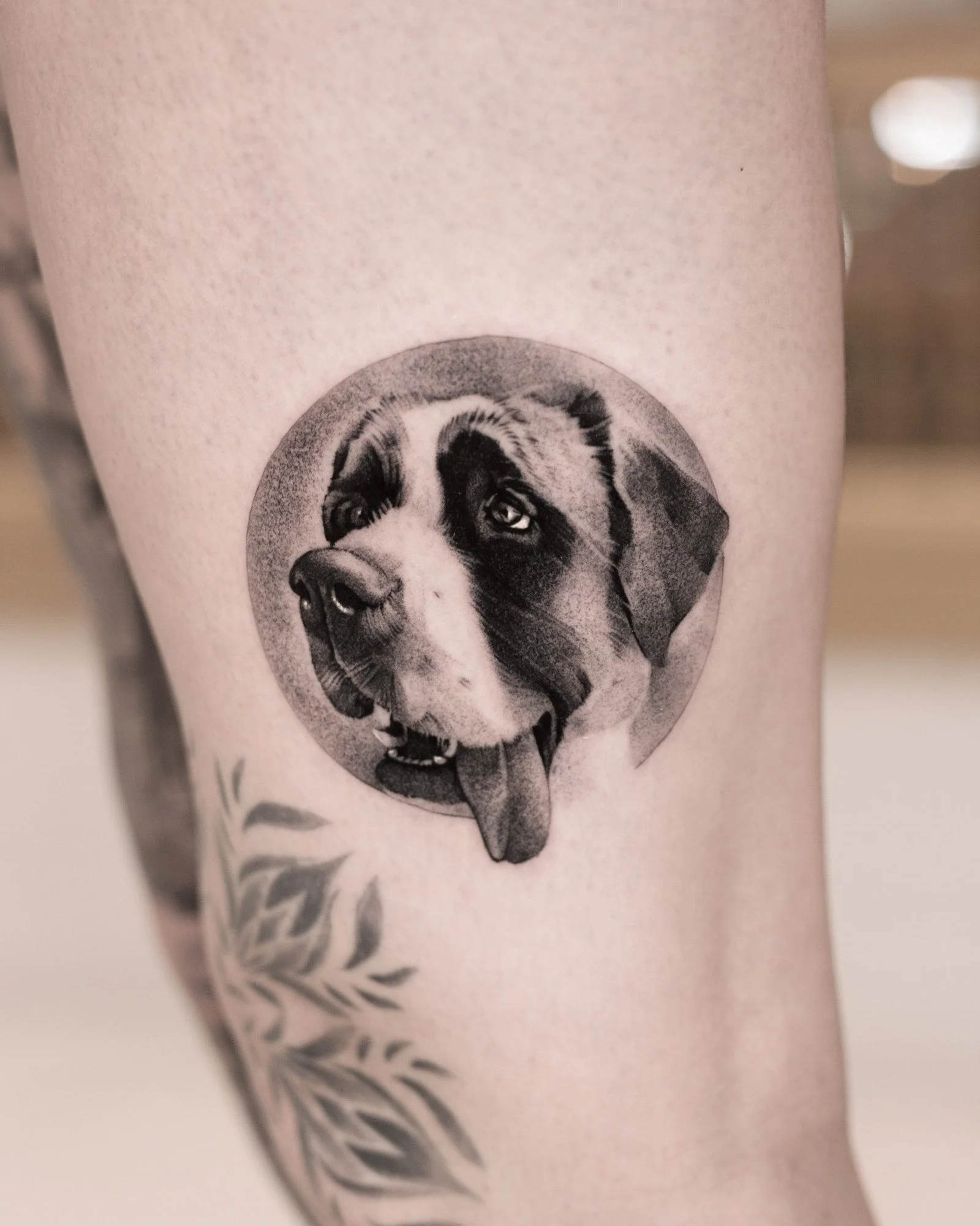 pet-portrait-gallery-02.jpg