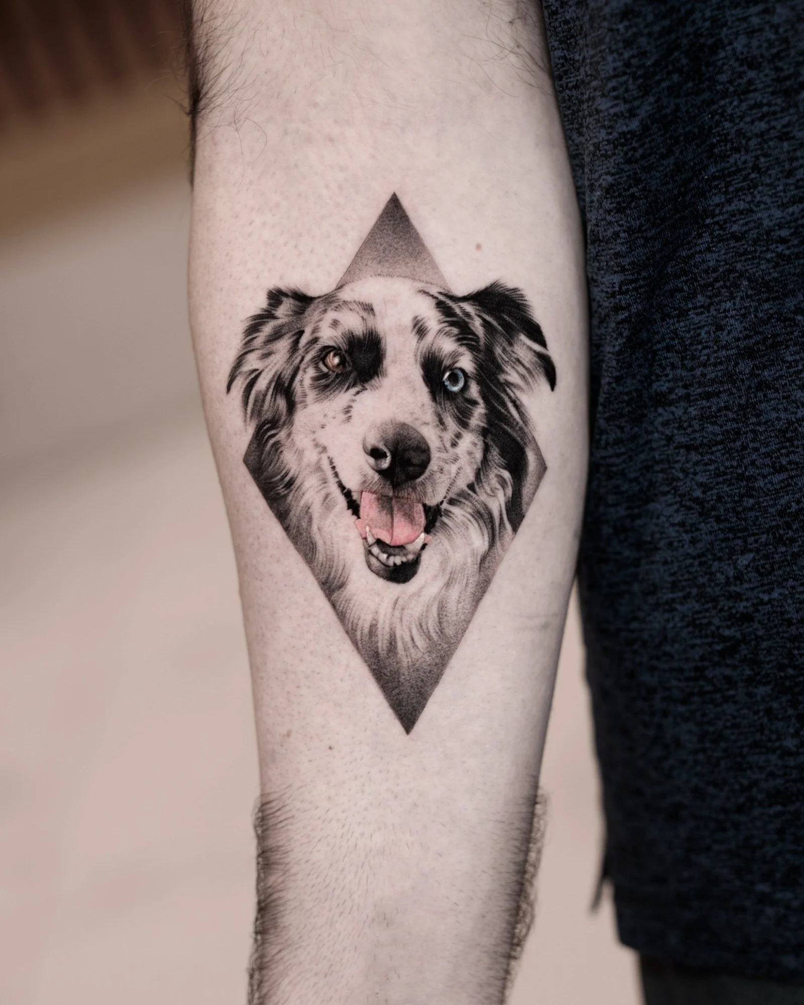 pet-portrait-gallery-03.jpg
