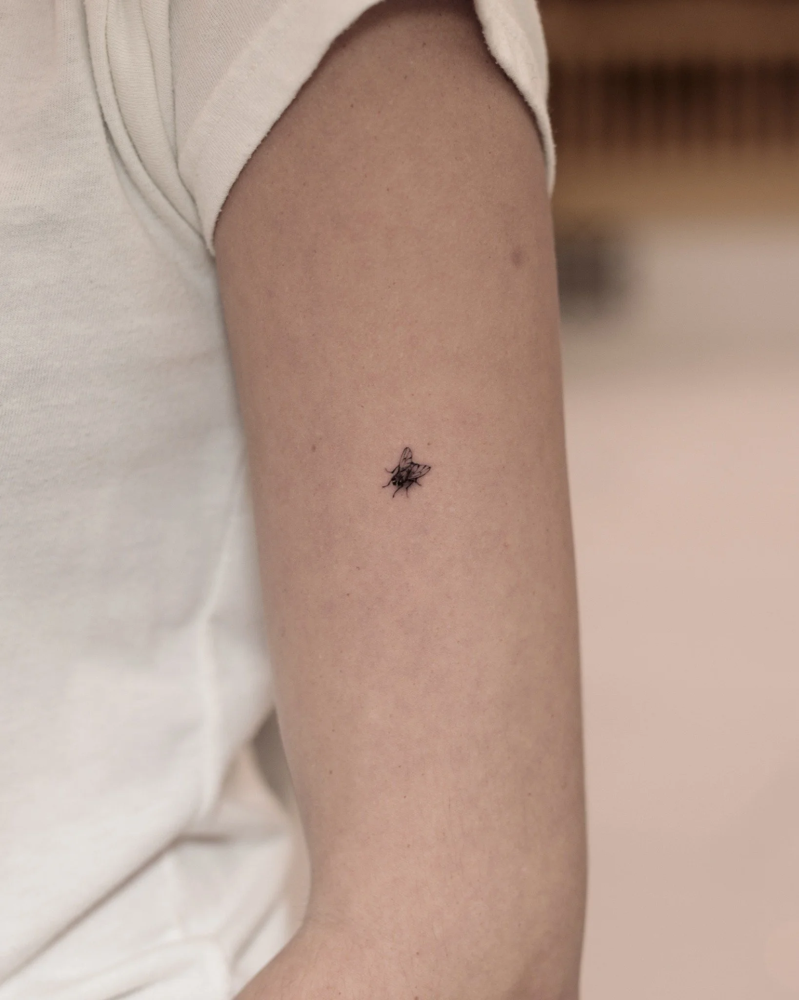 Tiny realistic fly tattoo on the upper arm, with delicate legs and detailed wings.