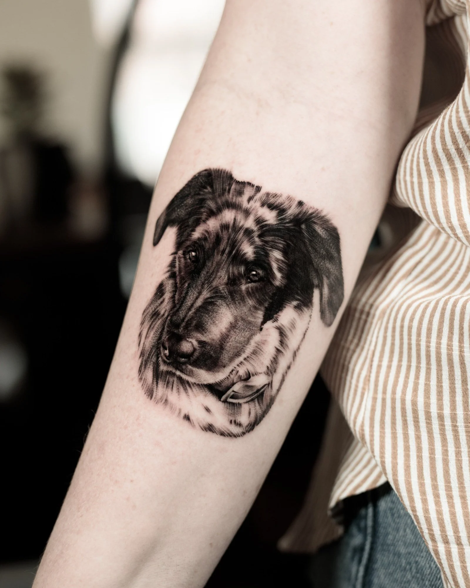 pet-portrait-gallery-07.jpg