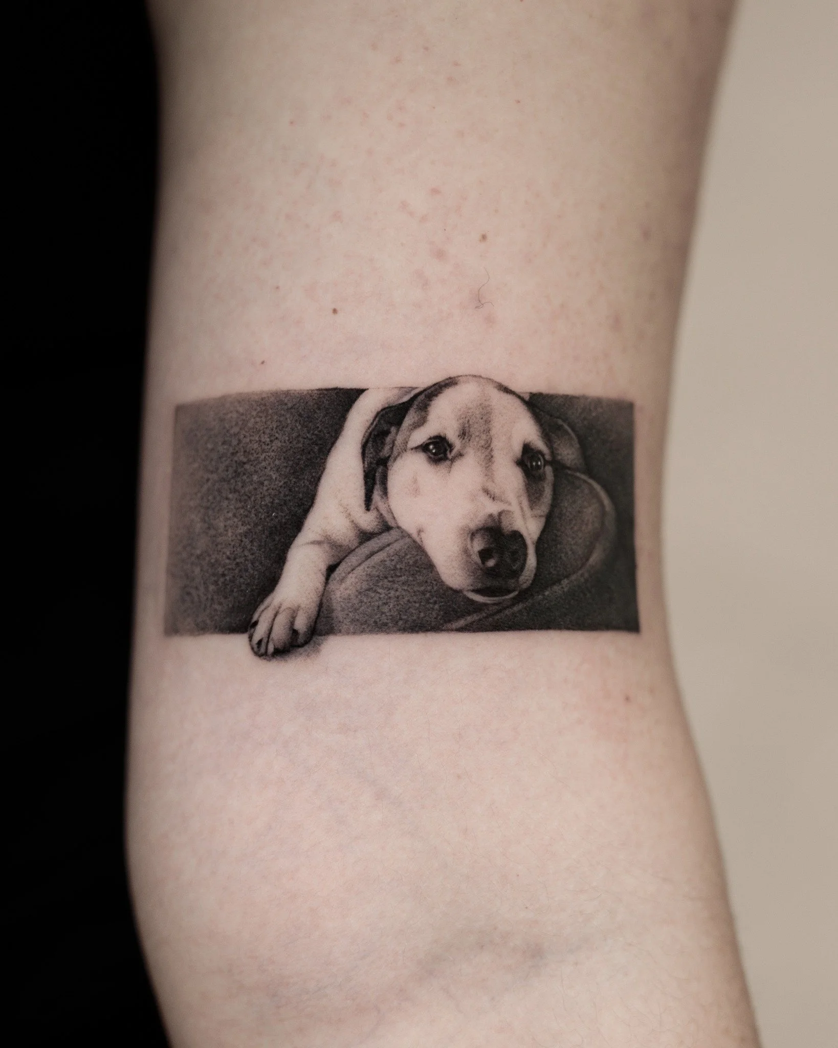 Black and grey dog portrait tattoo showing a dog resting its head on a cushion, with one paw extending beyond a dark rectangular background.