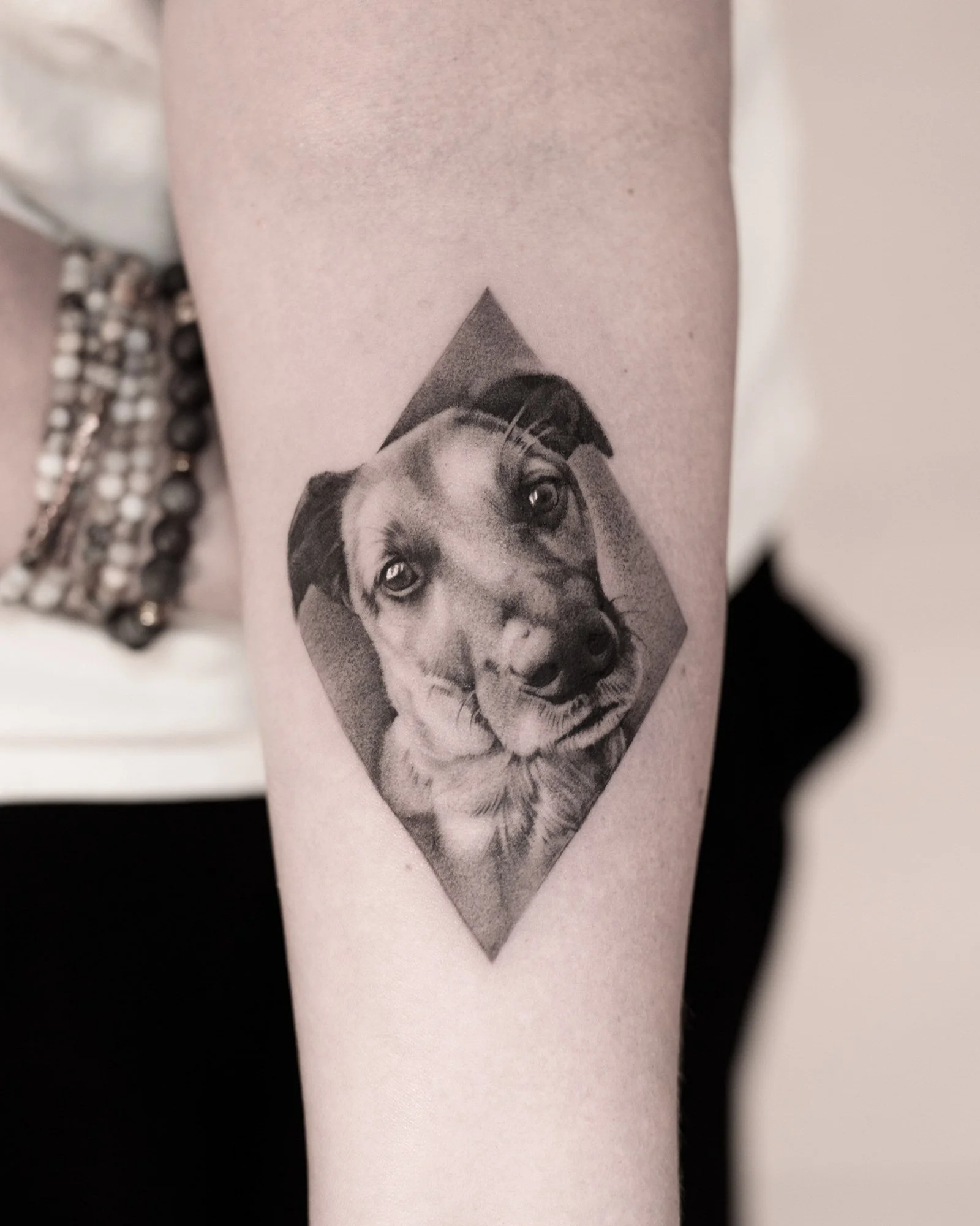 pet-portrait-gallery-01.jpg