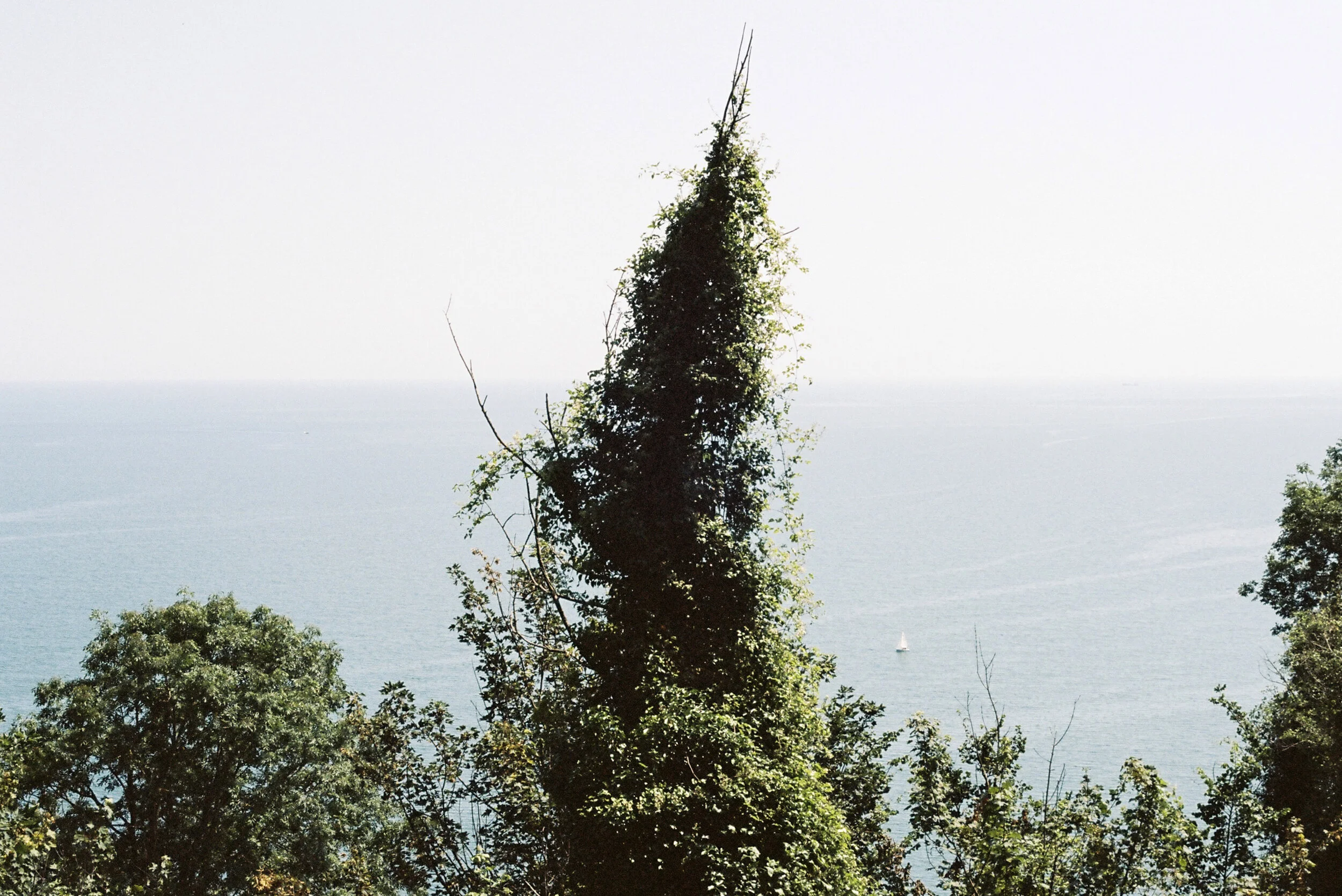 B012278-R2-29-30A.jpg