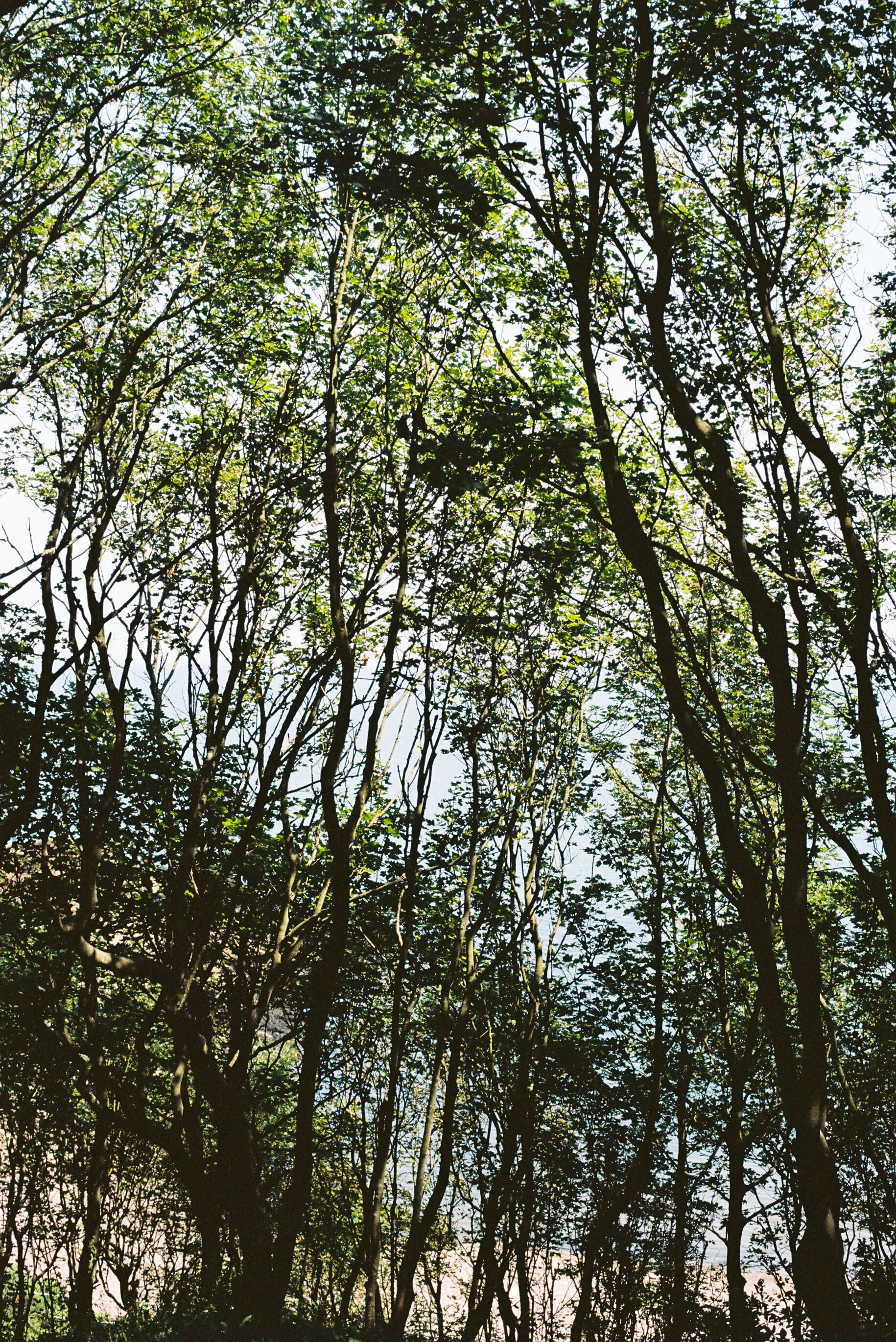 B012278-R2-30-31A.jpg