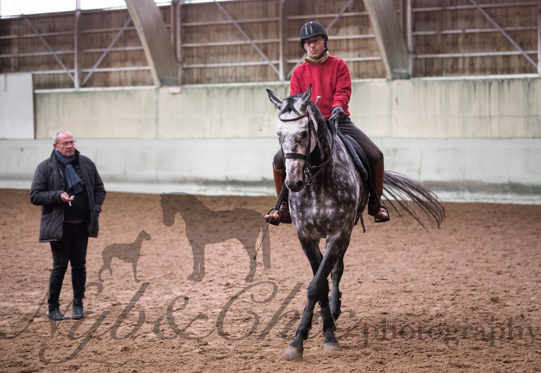   Challenges Equitae  A la recherche du cheval juste 