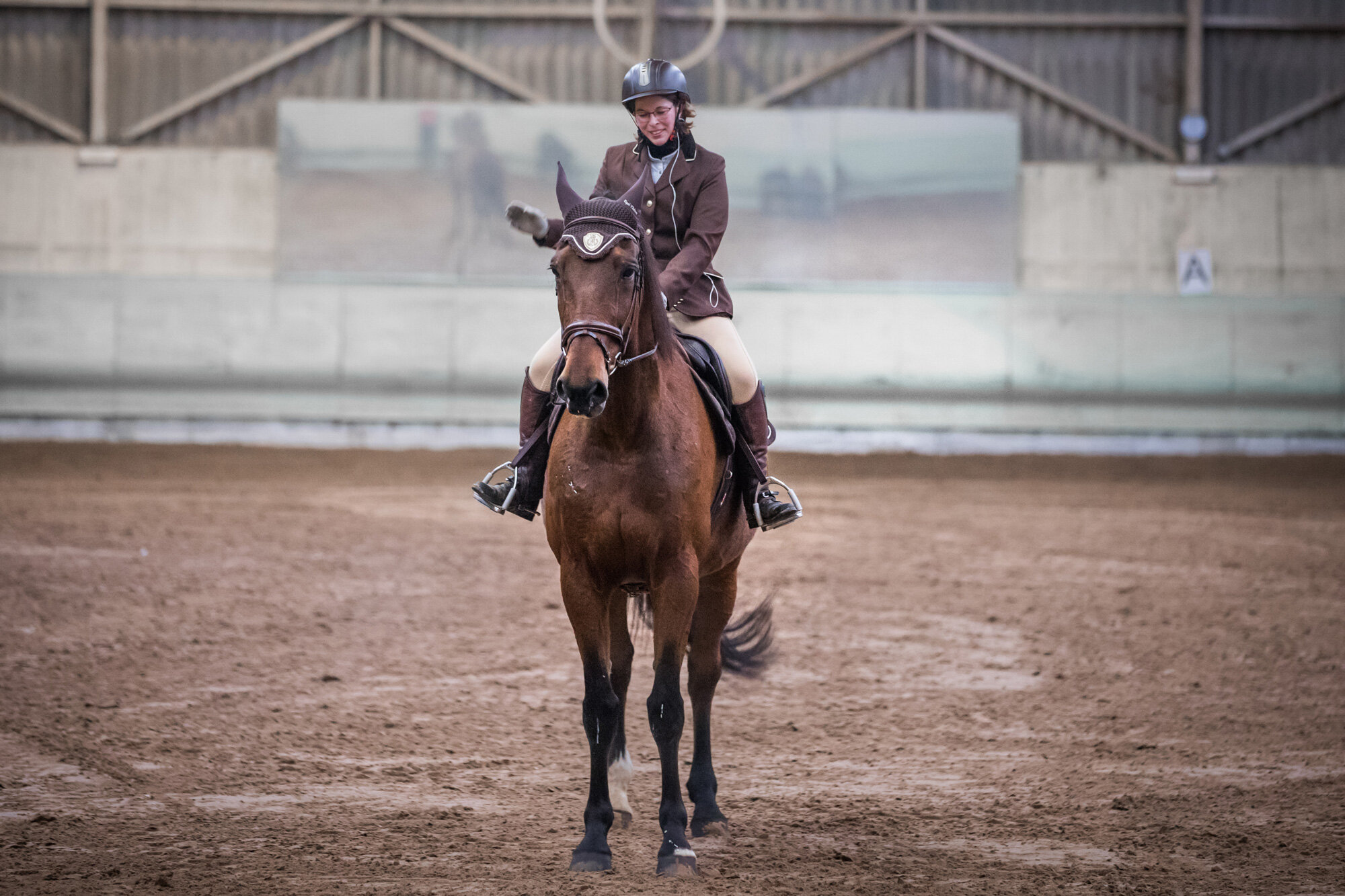   Challenges Equitae  A la recherche du cheval juste 