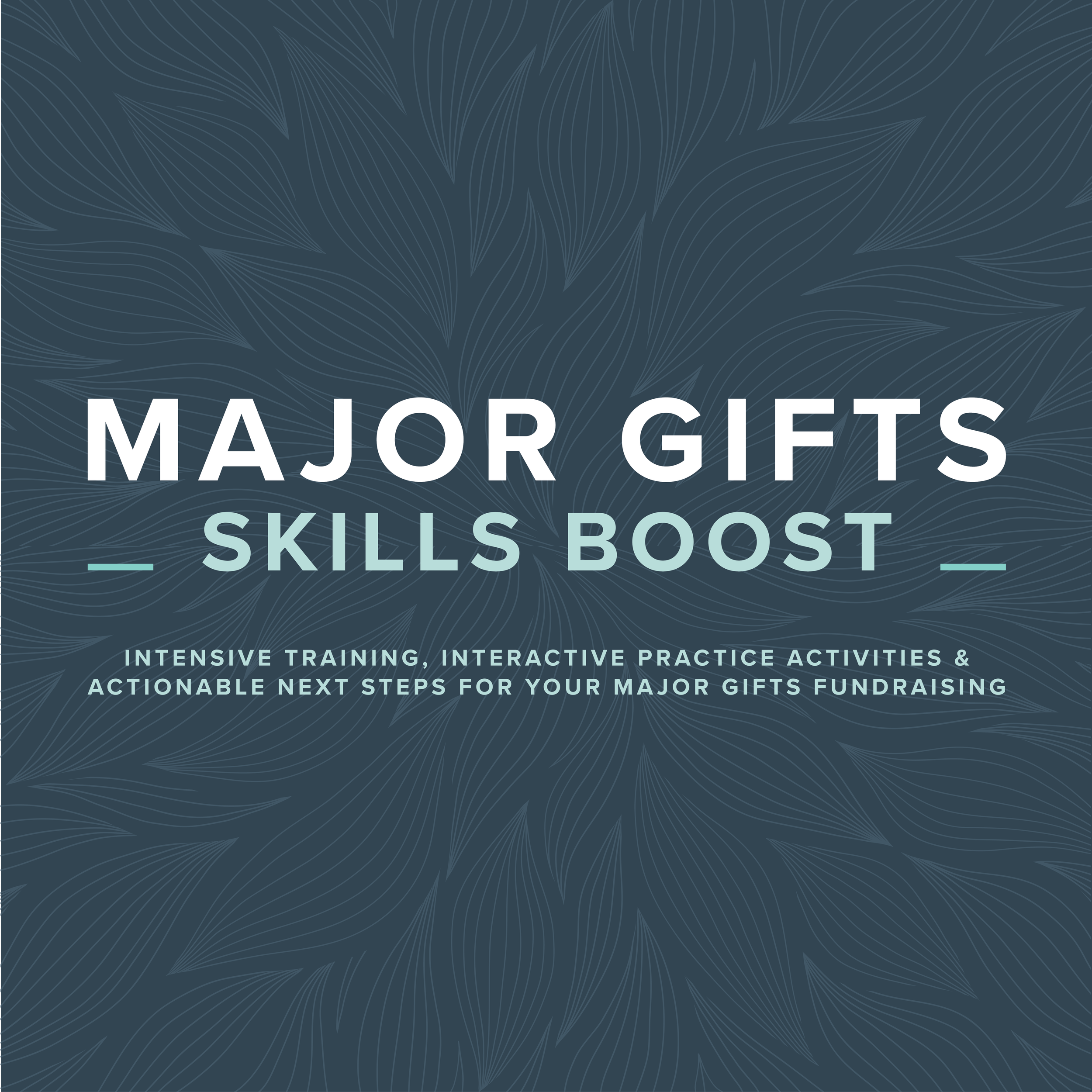 Major Gifts Skills Boost