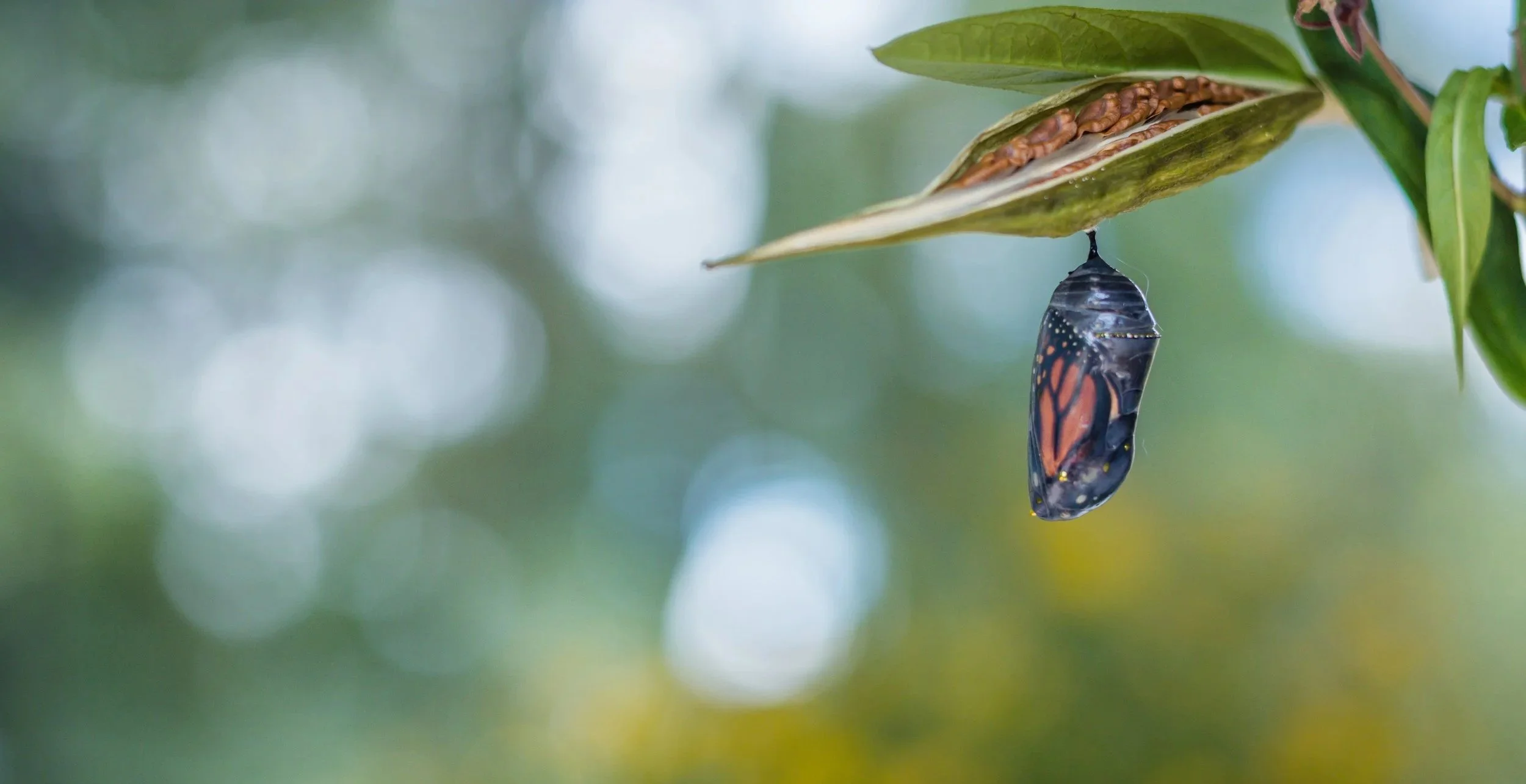 Philanthropy is evolving. Stay agile. Stay ahead.&nbsp;