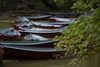 Tidal Potomac Fly Rodders
