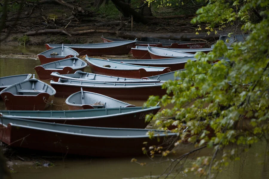 Tidal Potomac Fly Rodders