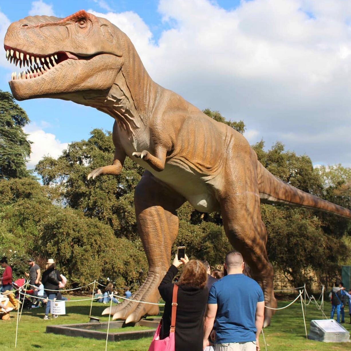 The cat is out of the bag. We will be serving our best chocolate treats, coffees, ice creams and smiles at the biggest summer outdoor dinosaur gathering;) @jurassicencounter2021 brings to London  life-sized dinosaurs. Staycations never sound this exc