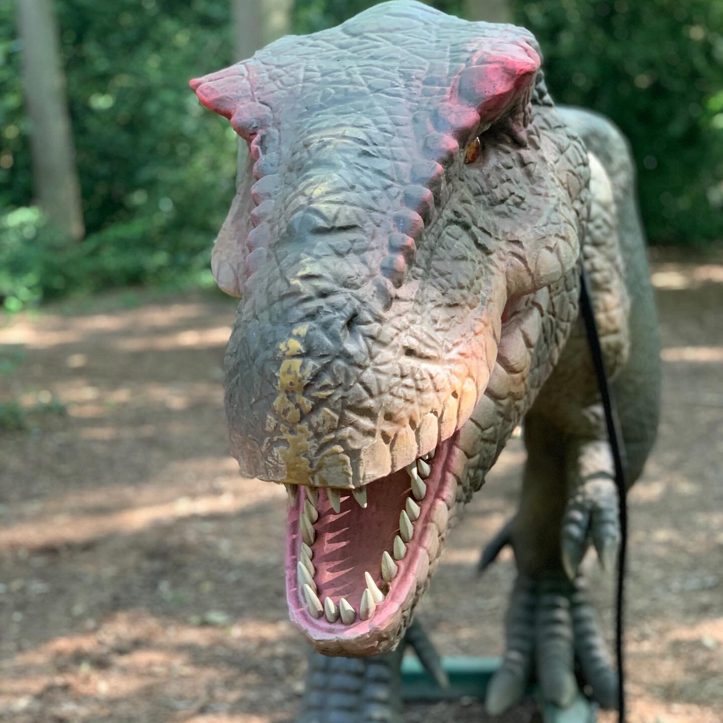 Went today to visit @jurassicencounter2021 team. They are getting ready for opening next Saturday 24/7. We are proud to work with them during London tour of their event. You will be able to spend day out in the park surrounded by over 50 giant Dinosa