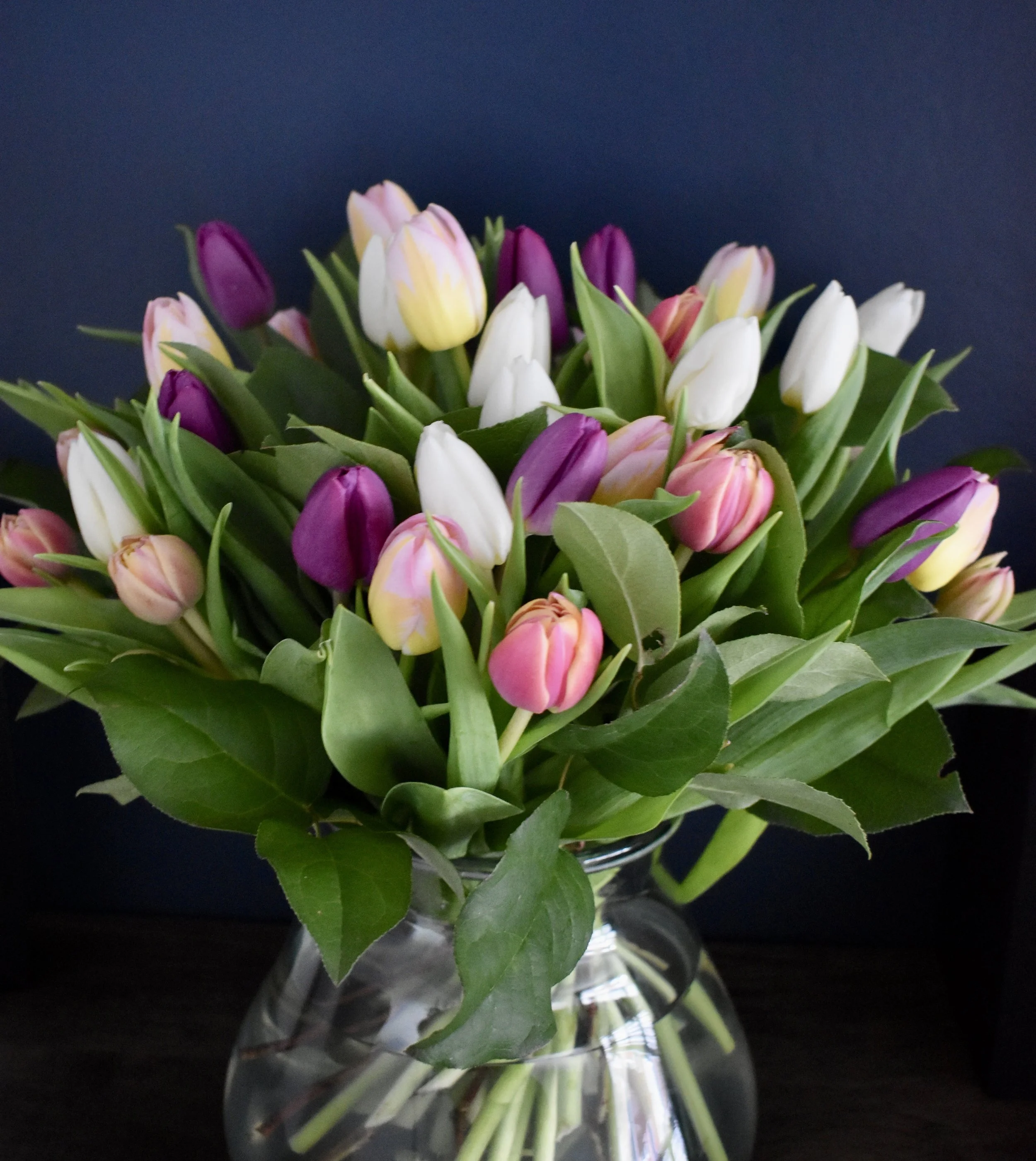 Simply Tulips - Hand Tied Bouquet