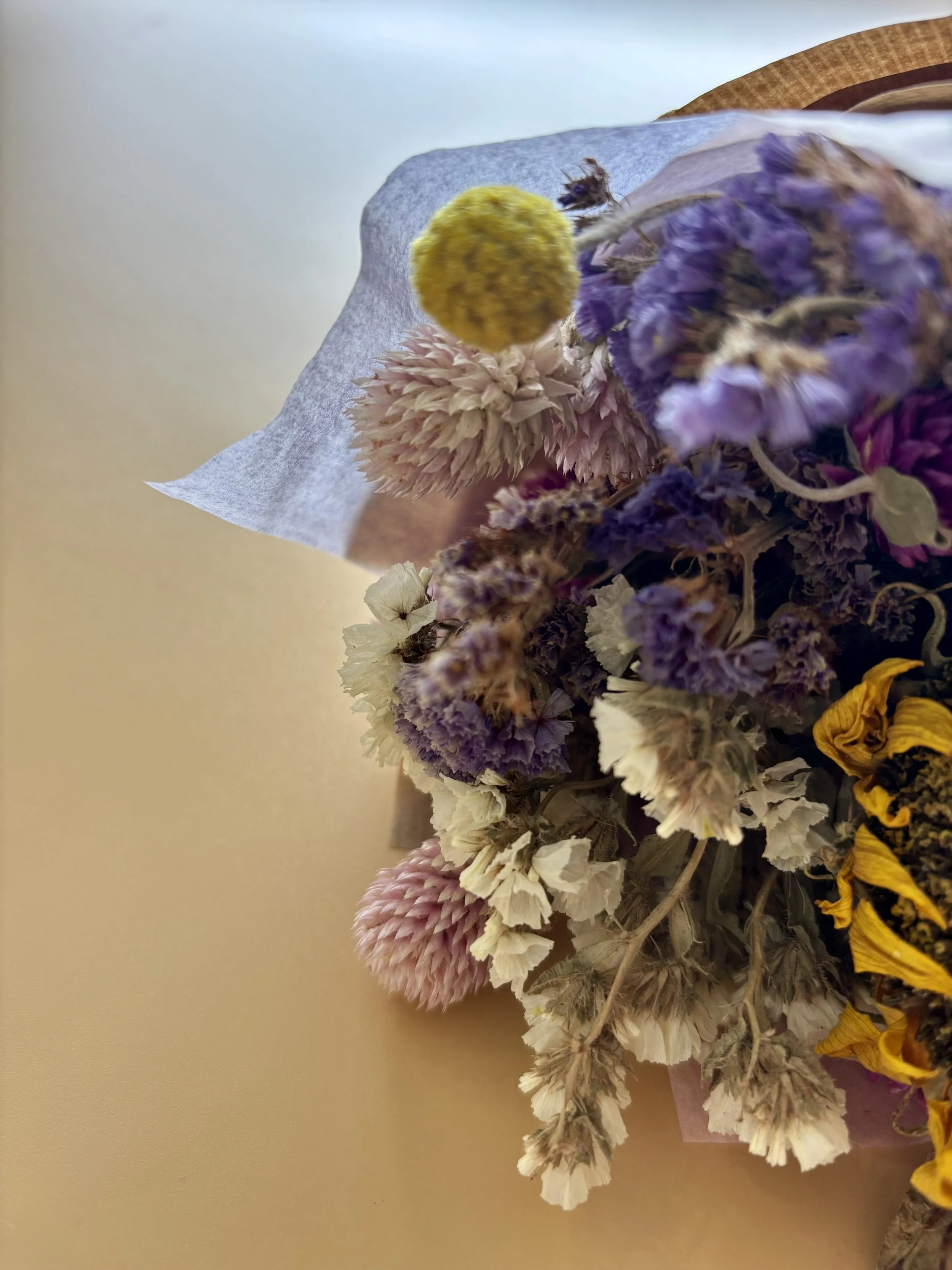 IMG_4127.jpeg