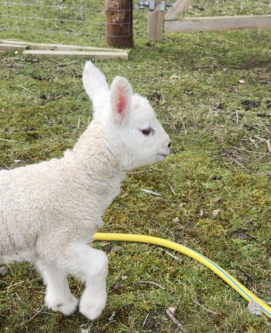 Screenshot 2026-04-15 at 11.38.46.png