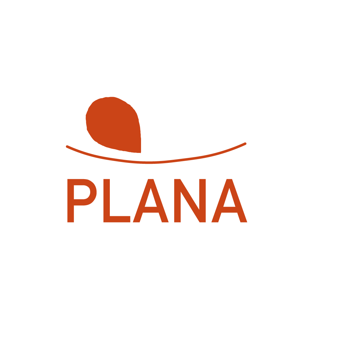 Plana-Logomarca-Sketches-07.png