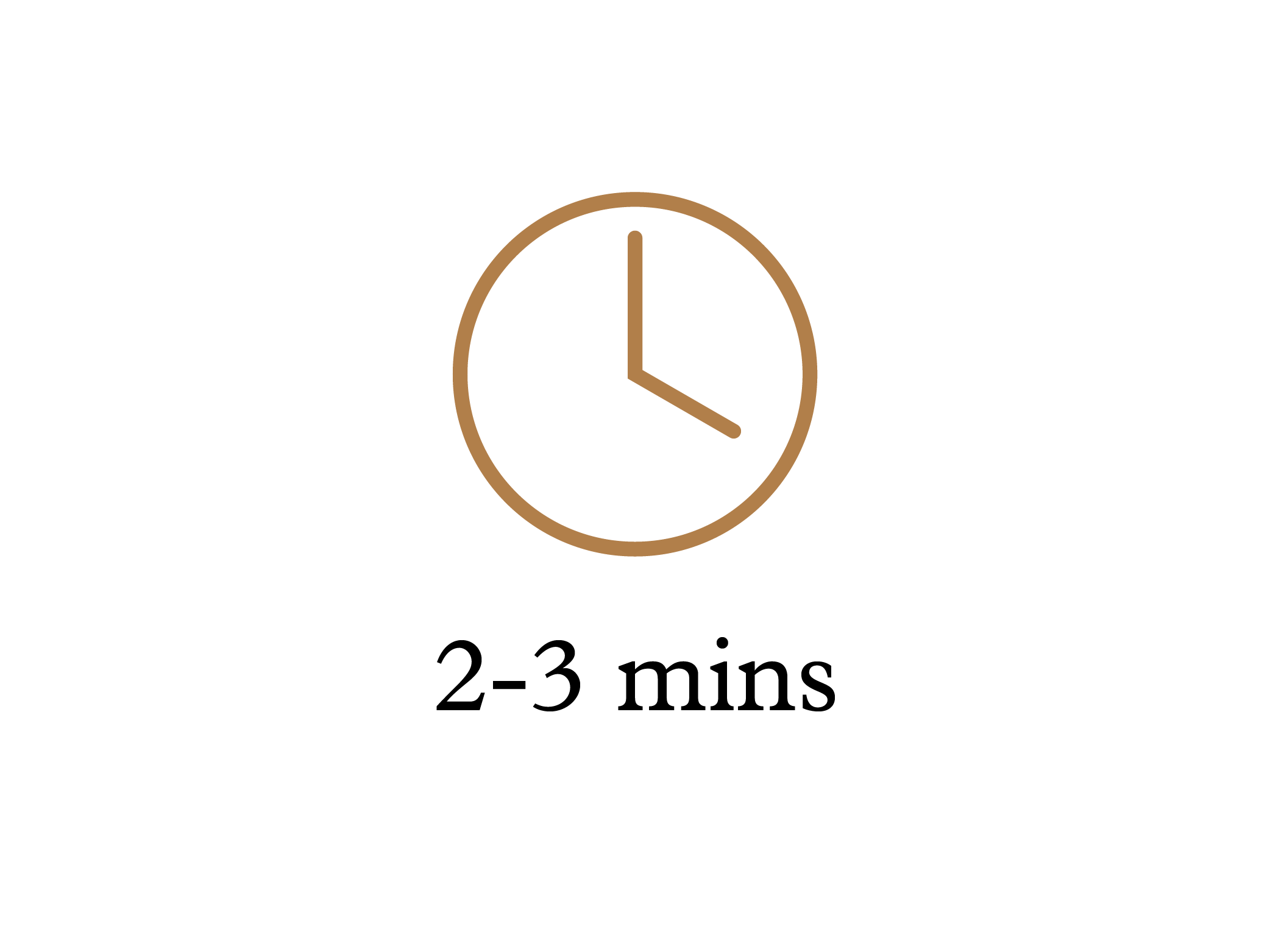 Time 2-3 mins.png