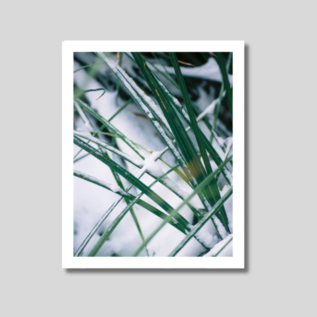 print-mockup-noframe10.png
