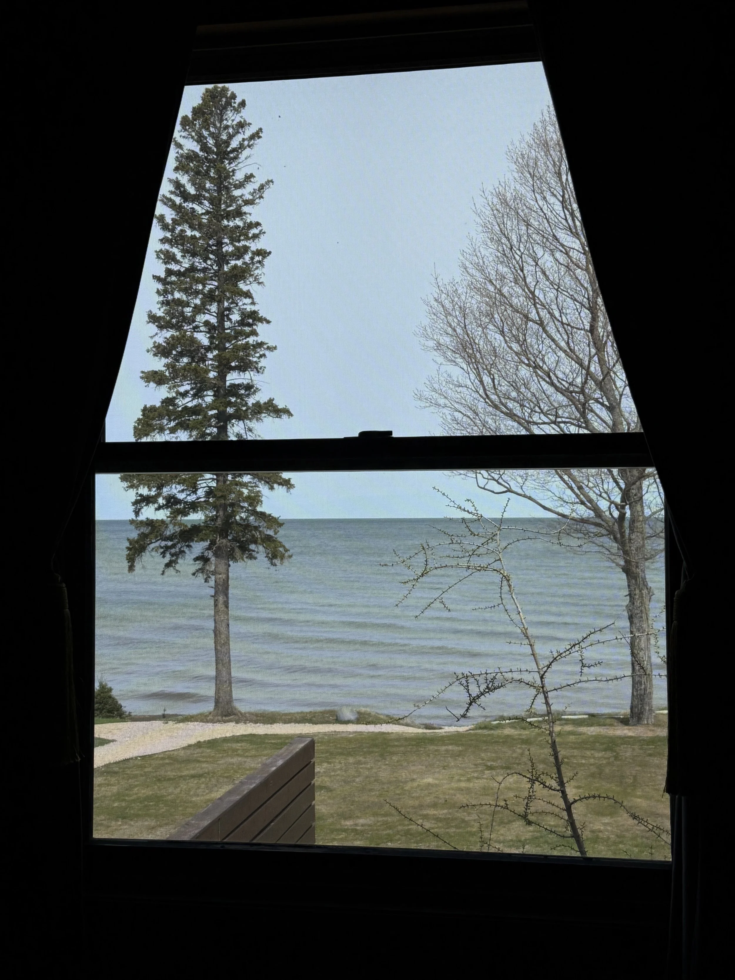 IMG_4026.jpeg