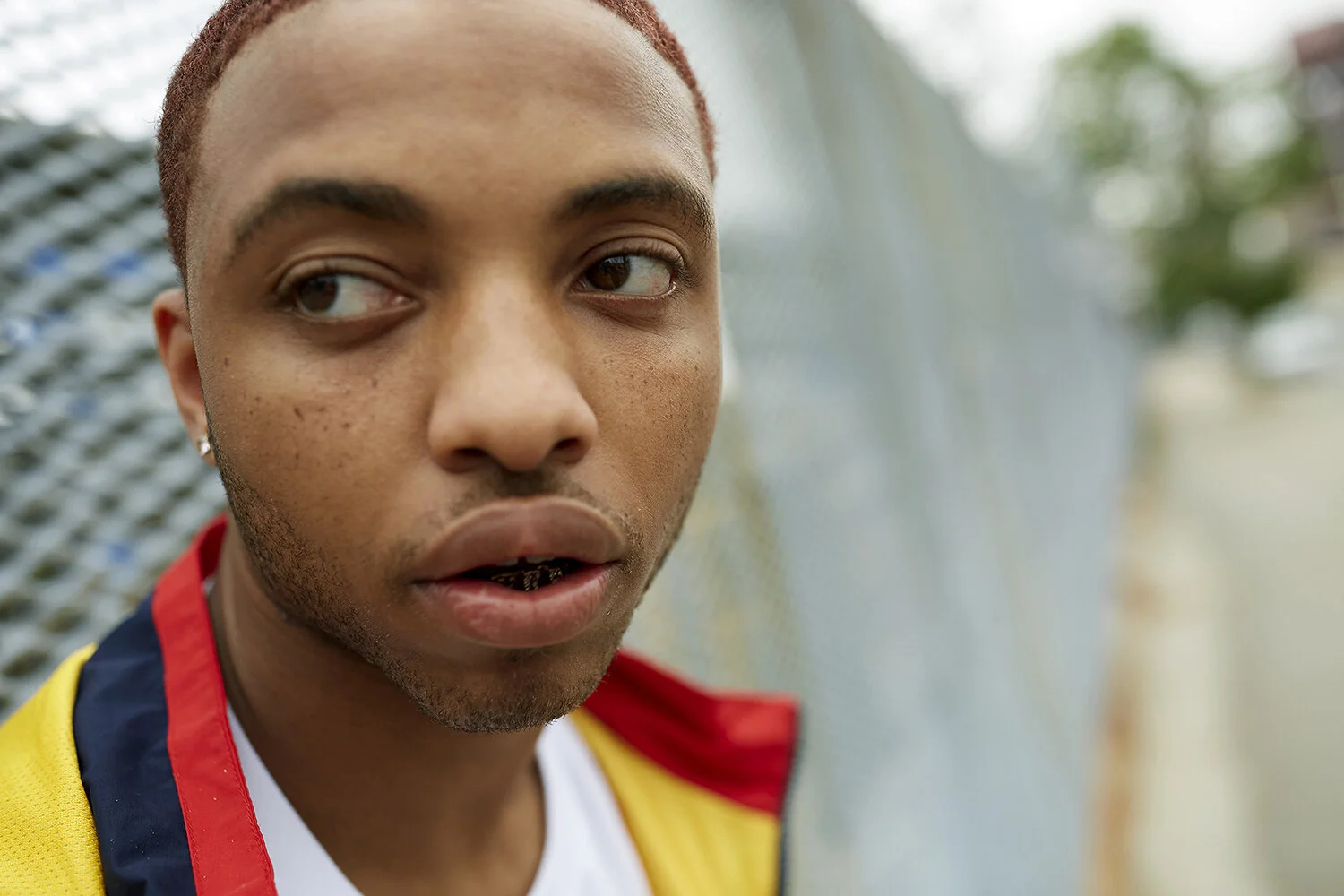 Thorsten Roth Photographer Director