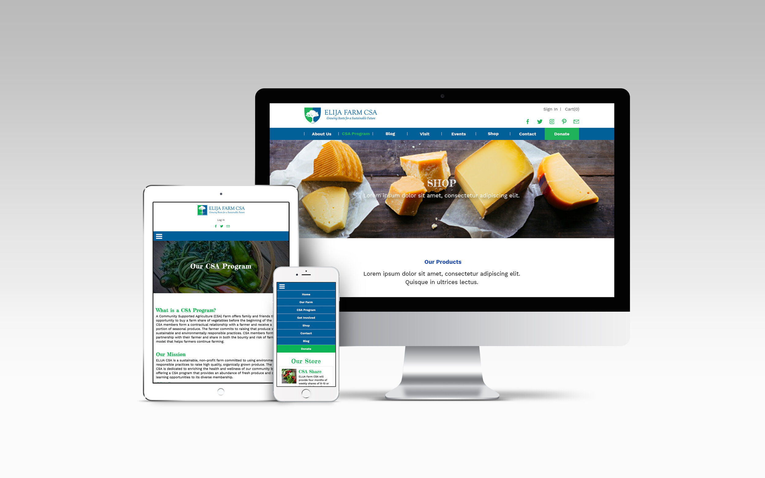 The Elija Farm (Client Project, 2017)The Elija Farm is a sustainable, non-profit farm in South Huntington, NY dedicated to using environmentally responsible practices to grow organic produce. I designed their website when I was in Design Brooklyn as…