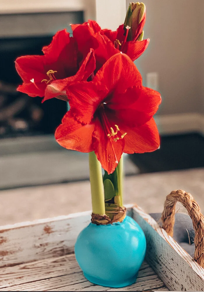 Bloomaker