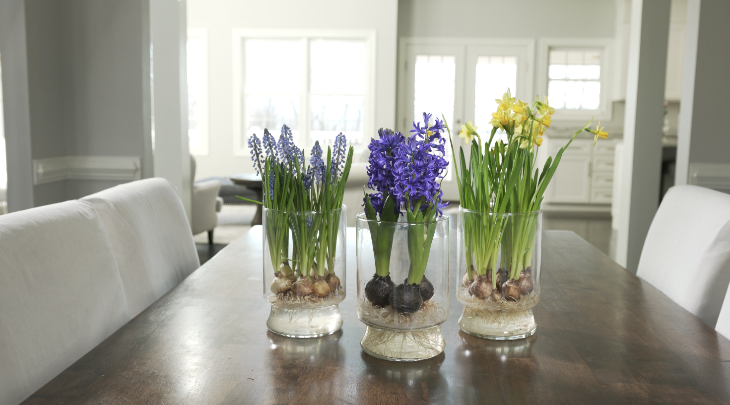 Online Floral Shop Amaryllis & Tulips Bloomaker USA, Inc.