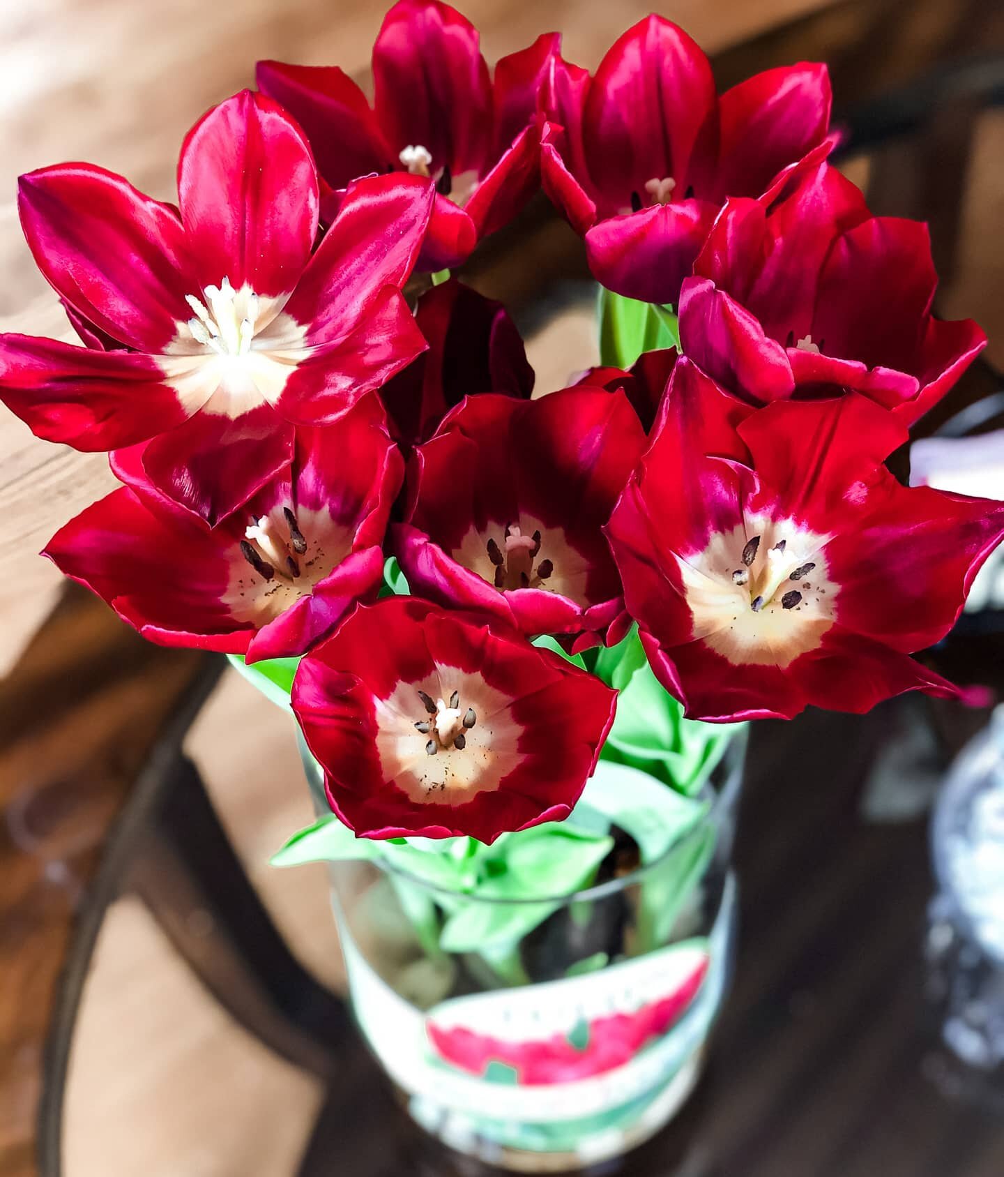 &quot;We don&rsquo;t ask a flower any special reason for its existence. We just look at it and are able to accept it as being something different for ourselves&quot; ❤
⠀
- Gwendolyn Brooks
⠀
#bloomaker #tulips #longlifetulips