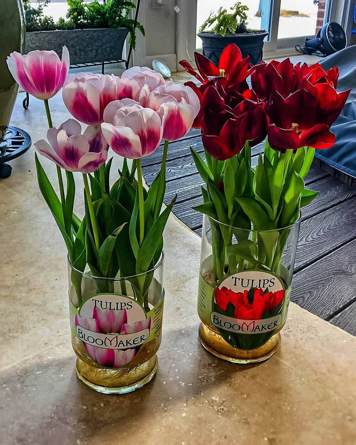 Bloomaker bloomaker