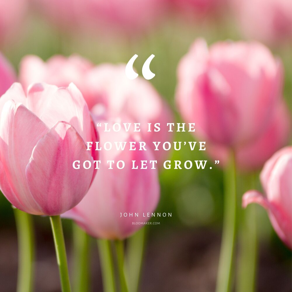 55 Inspirational Flower Quotes - Beautiful Motivational Sayings ...