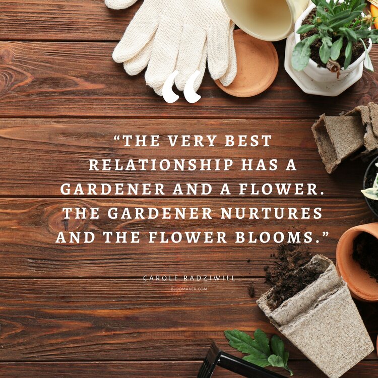“The very best relationship has a gardener and a flower. The gardener nurtures and the flower blooms.”– Carole Radziwill