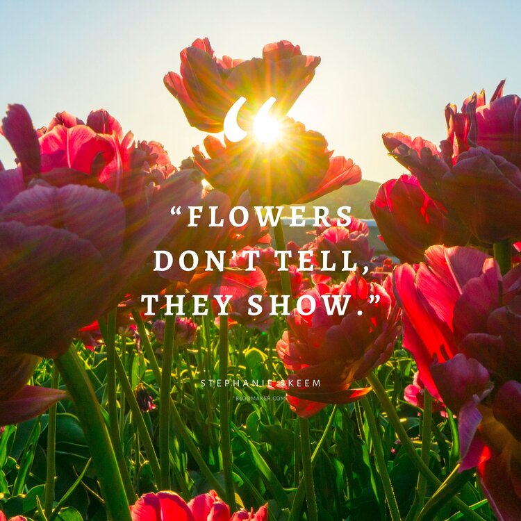 “Flowers don’t tell, they show.” – Stephanie Skeem