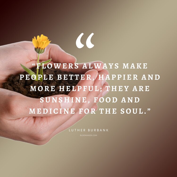 “Flowers always make people better, happier and more helpful; they are sunshine, food and medicine for the soul.” – Luther Burbank