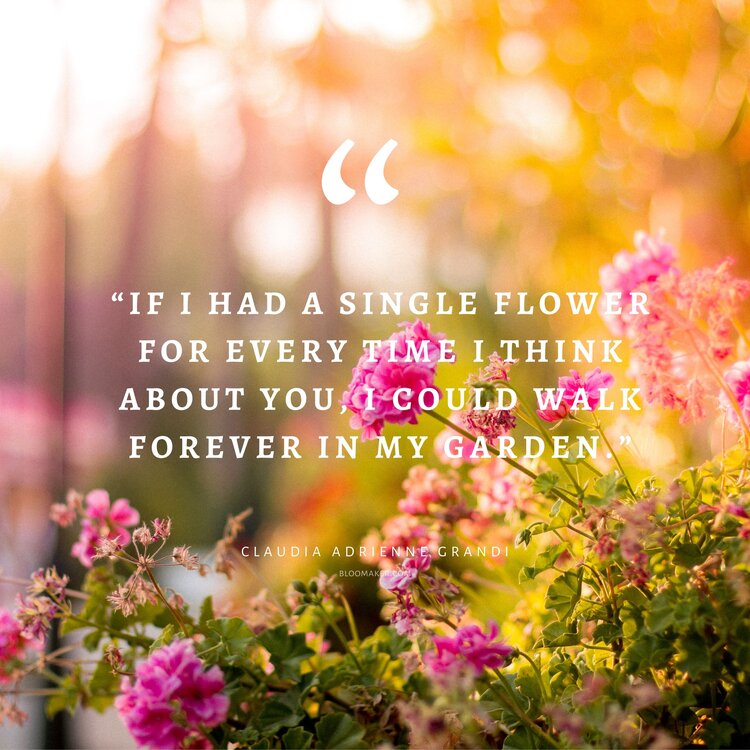 “If I had a single flower for every time I think about you, I could walk forever in my garden.”– Claudia Adrienne Grandi
