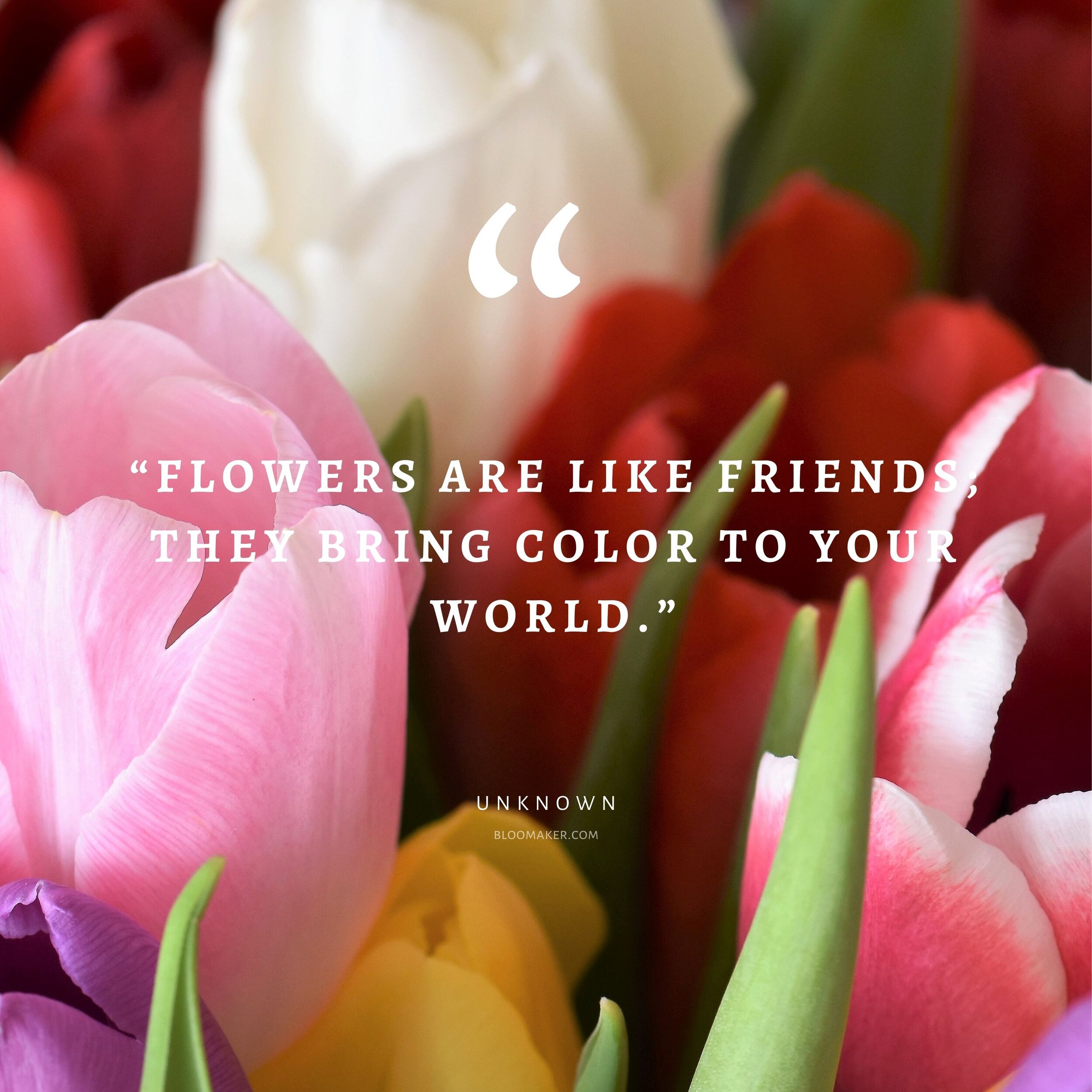 Quotes About Flowers And Friends - Hester Alejandrina