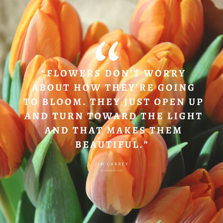 “Flowers don’t worry about how they’re going to bloom. They just open up and turn toward the light and that makes them beautiful.”– Jim Carrey