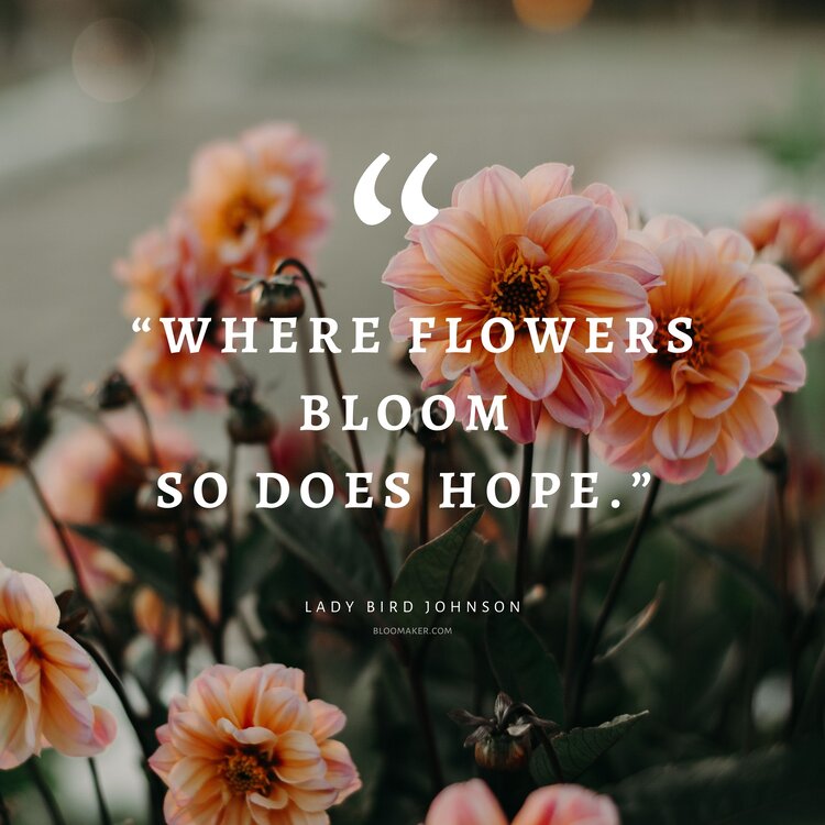 “Where flowers bloom so does hope.” – Lady Bird Johnson
